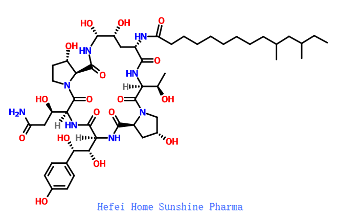নিউমোক্যান্ডিন বি0 CAS 135575-42-7