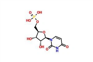 ইউরিডিন 5'-মনোফসফেট(ইউএমপি-এইচ) সিএএস 58-97-9